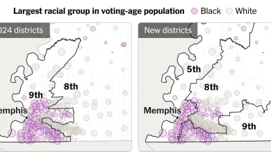 See How the G.O.P. Cut Up Tennessee’s Only Majority Black District
