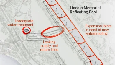 See the Reflecting Pool's Problems That Trump's Renovations May Not Fix