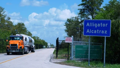 See ya later, ‘Alligator’: DeSantis bears embarrassing albatross