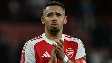 Sell Gabriel Jesus & sign Julian Alvarez! Arsenal legend offers transfer advice to Mikel Arteta in bid to build scary strike force