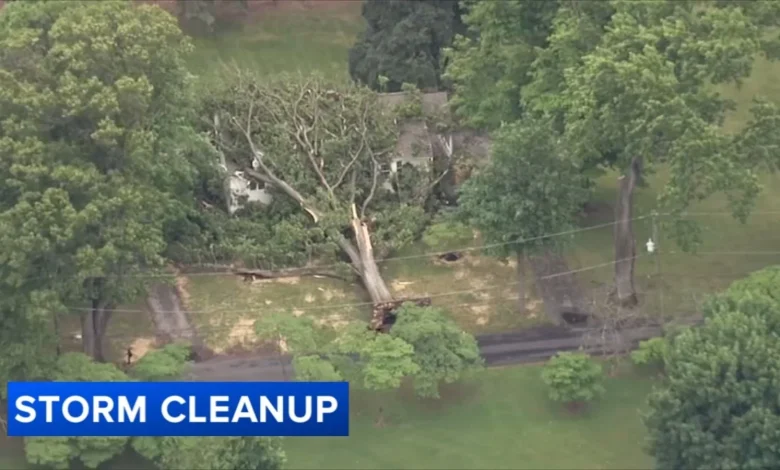 Severe storm downs trees and power lines in Montgomery County, Pennsylvania, leaving thousands without power