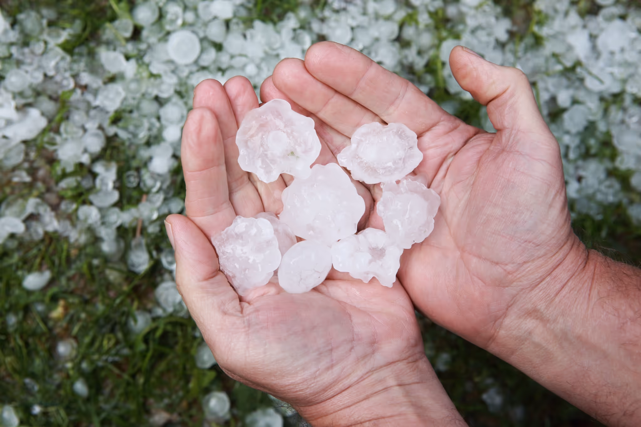 Severe thunderstorms eye Alberta with risk of hail and strong winds