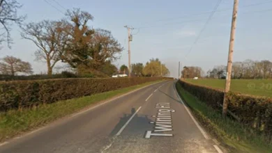 Severn Trent to temporarily remove up to 23 sections of Wrexham hedgerow