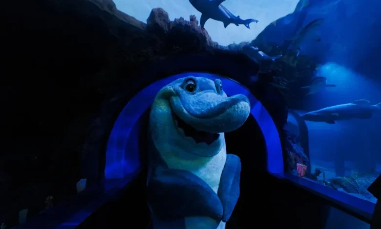 Sharks and beer: SeaWorld is giving the people what they want