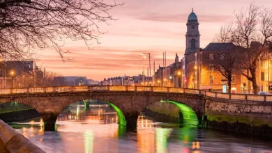 Should I buy the maker of Guinness for snowballing passive income?