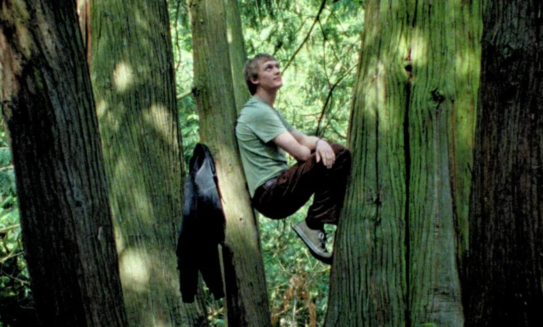 'Silent Friend' review: This film will change the way you see the trees : NPR