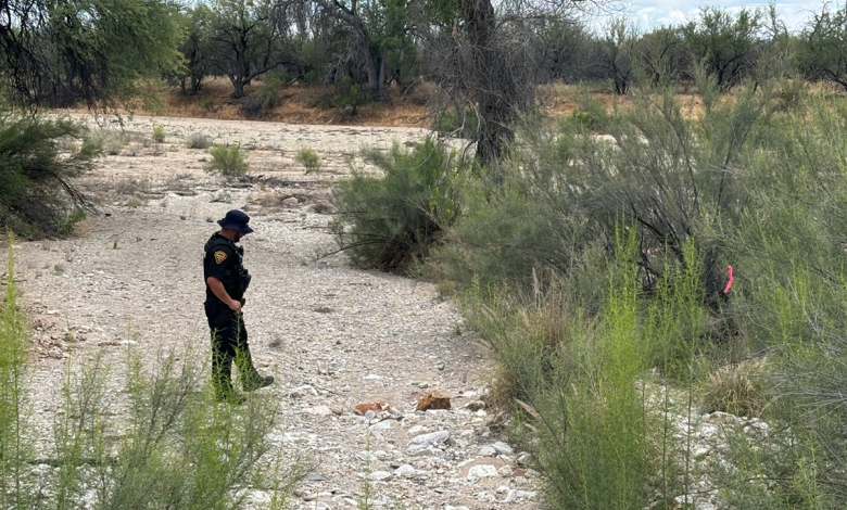 Skeleton unearthed near Nancy Guthrie search site believed to be up to 1,000 years old, expert says