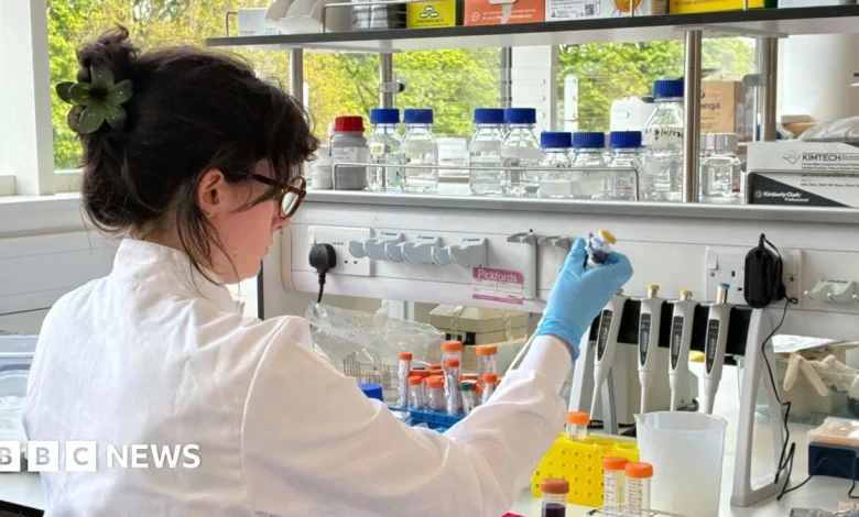Small number of people in Scotland linked to hantavirus outbreak