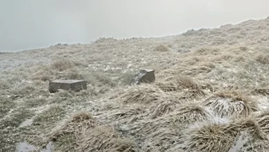 Snowfall in Carpathians as temperature drops to -1°C