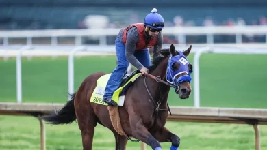 So Happy soars to Kentucky Derby co-favorite: What to know about horse