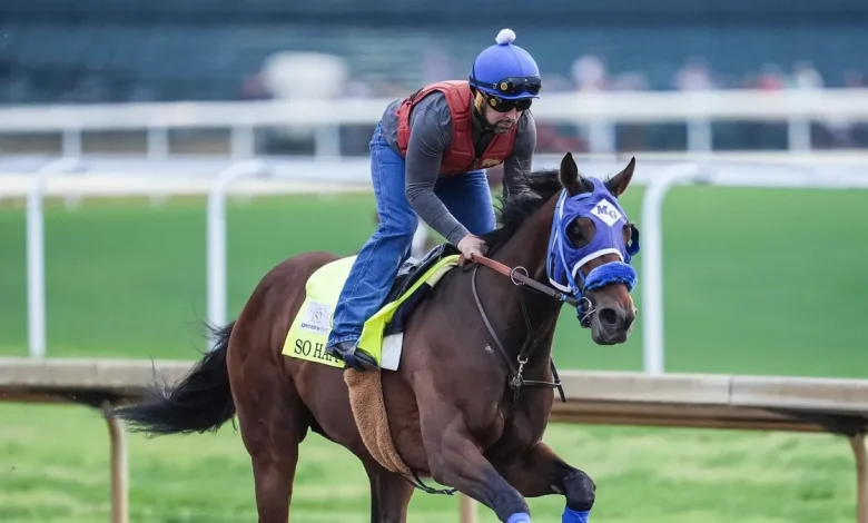 So Happy soars to Kentucky Derby co-favorite: What to know about horse