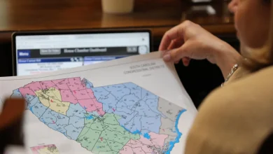 South Carolina governor expected to call special session on redistricting