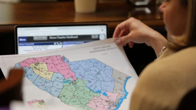 South Carolina moves to cancel June primary to allow for GOP gerrymander