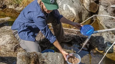Southwest Conservation Program