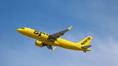 Spirit Airlines apologizes after shock shutdown: 'Thank you and sorry to the American public'