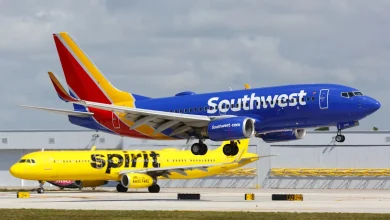 Spirit pilot loses retirement flight by one day, Southwest delivers unforgettable sendoff
