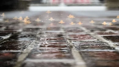 Start of Indy 500 qualifying delayed by rain