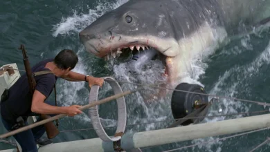 Steven Spielberg's Jaws Success Led To The Creation Of This Cult Classic '70s Horror Movie