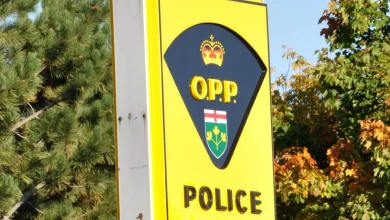 Sudbury resident dies in structure fire on Little Gabodin Lake