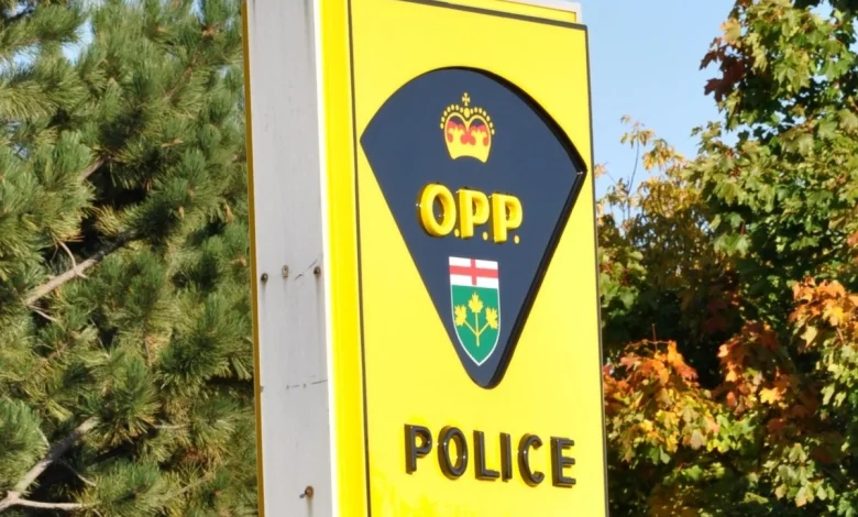 Sudbury resident dies in structure fire on Little Gabodin Lake