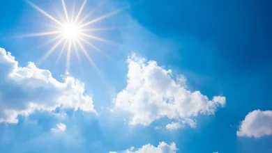Sunny today: Showers tomorrow