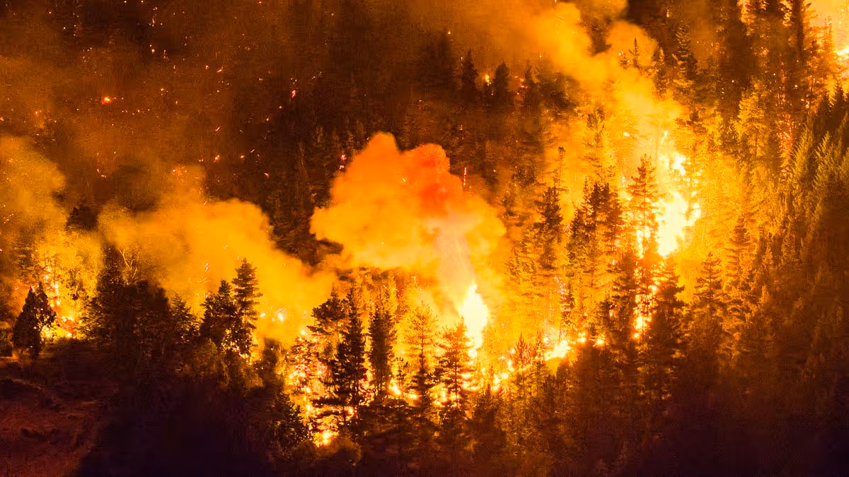 'Super El Niño' could be more powerful than event which caused over 50 million deaths