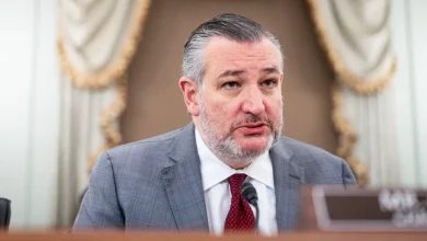 Ted Cruz says GOP senators were ‘screaming’ at Todd Blanche during ‘anti-weaponization’ fund briefing