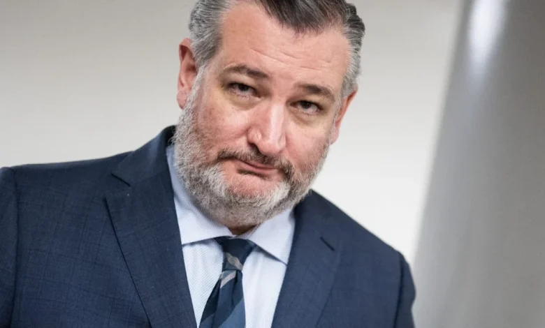 Ted Cruz says Trump accounts are Social Security personal accounts, revealing 'dirty little secret'
