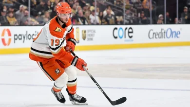 Terry to have hip surgery, could miss start of next season for Ducks