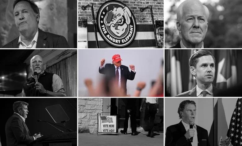 Texas primary runoff elections