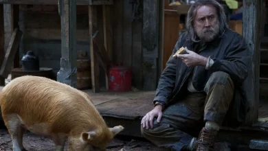 The 13 Best Movies to Watch on Netflix This May