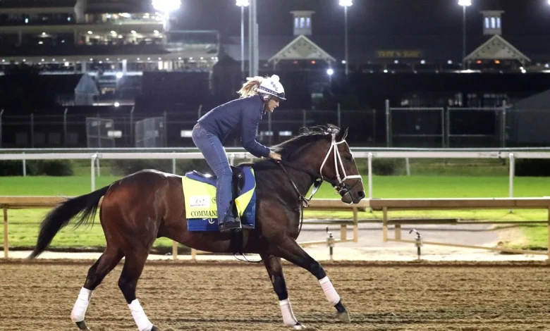 The Kentucky Derby Preview: And the Winner Is..