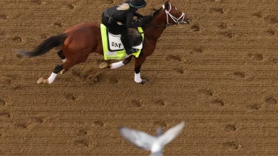 The Kentucky Derby feels a chill. How weather could impact horses, race