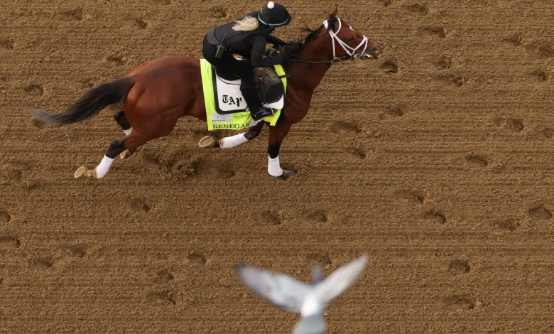 The Kentucky Derby feels a chill. How weather could impact horses, race