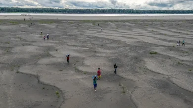 The Next El Niño Could Lock Earth Into a Hotter Climate