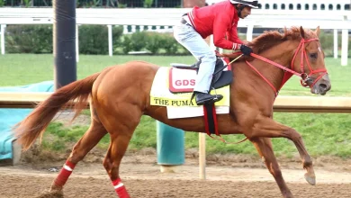 The Puma Scratched From Kentucky Derby With Leg Swelling