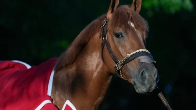 The Puma scratched from Kentucky Derby field 2026 morning of race