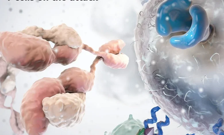 The Remarkable Proliferation of Cancer Immunotherapies