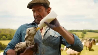 The Sheep Detectives Isn't the Movie You're Expecting (and That's What Makes It Great)