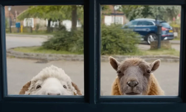 'The Sheep Detectives' Made Me Baaaawl My Eyes Out