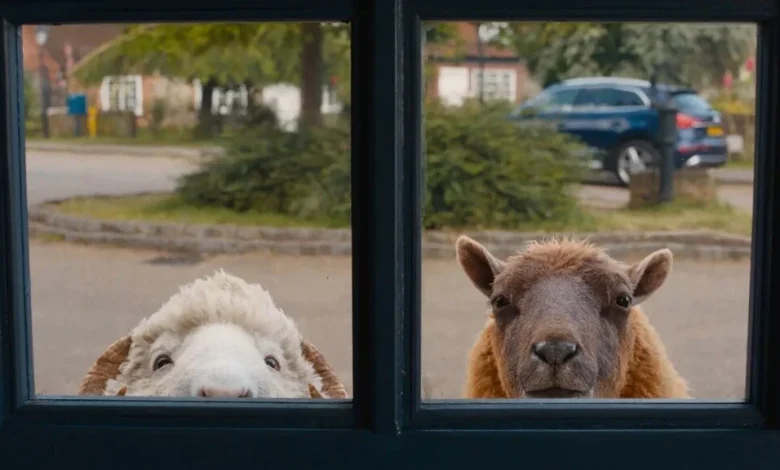 The Sheep Detectives is probably the best movie about sheep detectives ever made