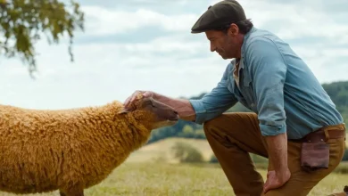 The Talking-Sheep Movie Made Me Cry