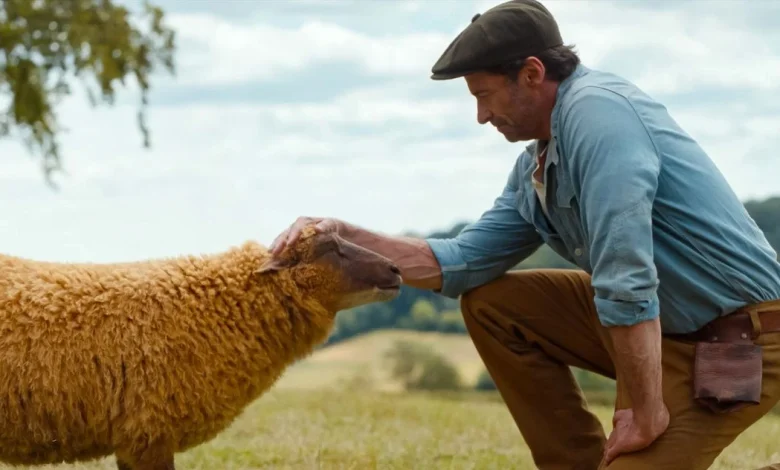 The Talking-Sheep Movie Made Me Cry