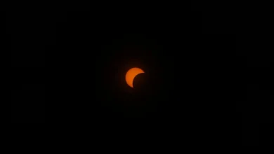 The moon is moving away from Earth at 3.8 centimetres per year — which means the total solar eclipses humans alive today get to see are something no future civilisation will ever witness