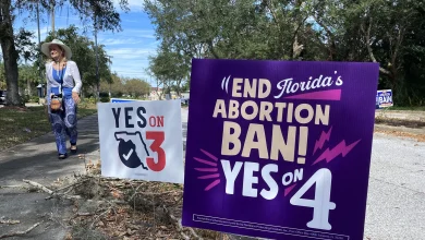 The rising toll of Florida's abortion ban
