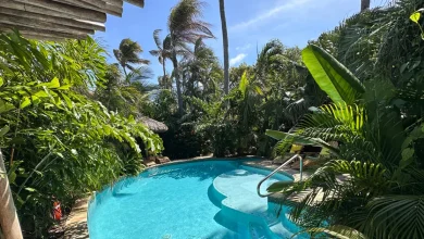 This Aruba Hotel Has Floating Sound Baths, Coconut Plantation Walks, and Adults-Only Tropical Vacations