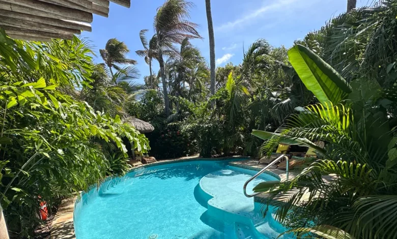 This Aruba Hotel Has Floating Sound Baths, Coconut Plantation Walks, and Adults-Only Tropical Vacations
