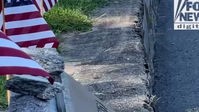 This Memorial Day, we remember all those who gave their lives for America