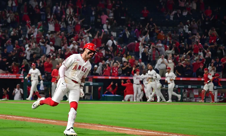 Top Picks from the MLB Betting Splits for Tuesday May 19th