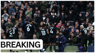 Tottenham express interest in signing £35m “iron wall” from UCL semi-finalists